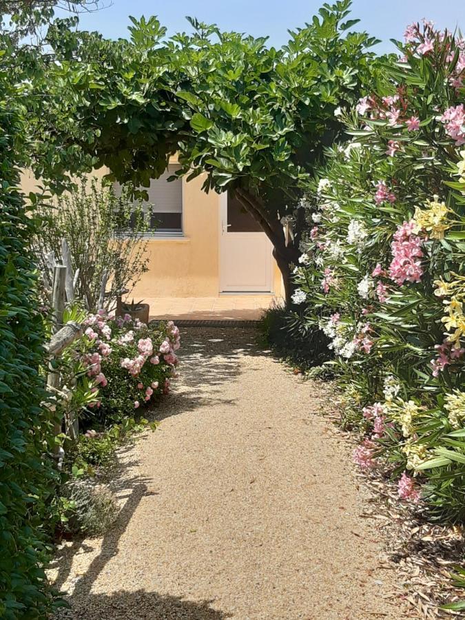 Petite Maison De Campagne Gardoise Théziers Εξωτερικό φωτογραφία